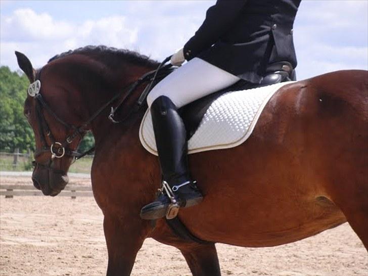 Anden særlig race Balarina Part *SOLGT* - 1# Balarina og Mig til stævne i KOOR <3 Elsker dig skat <3 21/6 - 09 Foto; Josephine <3 billede 1