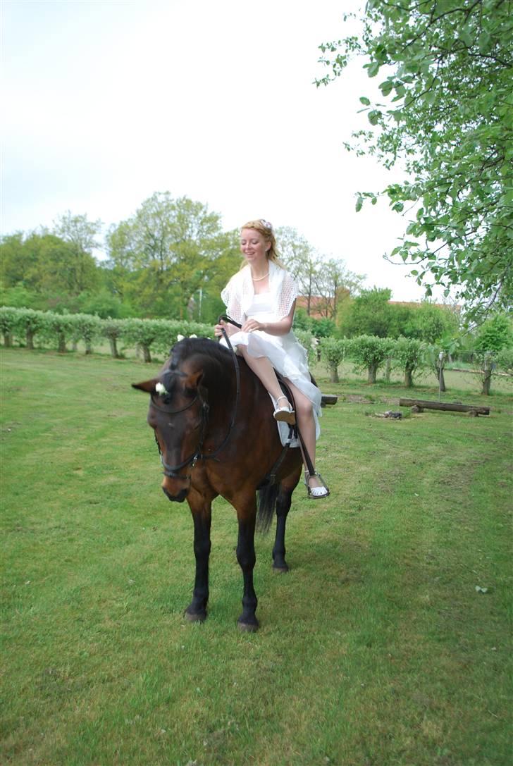 Anden særlig race Balarina Part *SOLGT* - 2# Konfirmation den 8 maj 2009 .. <3<3 GLÆDENS DAG :* Foto: Onkel John billede 2