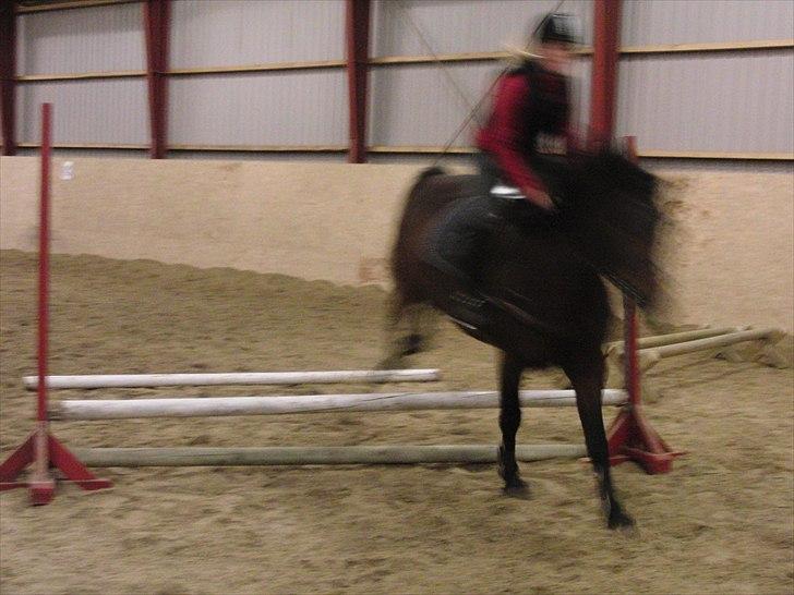 Anden særlig race Balarina Part *SOLGT* - 3# Balarina <3 Du har ændret mit liv!! :* JEG´VIL´ALDRIG´GLEMME´DIG!!! <3 Foto; Josephine ;i<3 (undskyld at billedet er sløret.. Men VIL have det ind da det er aller aller føste spring jeg tager med hende ;i<3) billede 3