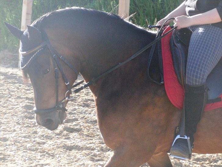 Anden særlig race Balarina Part *SOLGT* - 4# Fordi at du, lige meget hvad, prøvede at gøre det bedste for mig <3 Derfor elsker jeg dig skat<3 Foto: Josephine :* :D billede 4