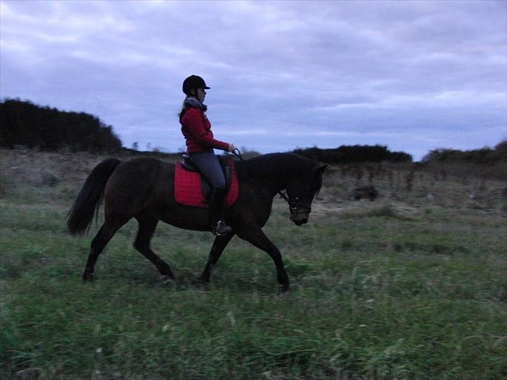 Anden særlig race Balarina Part *SOLGT* - 5# Fordi, at du ALTID gik perfekt <3 Dejlige skat !! Foto; Den dejligste Louise <3 billede 5