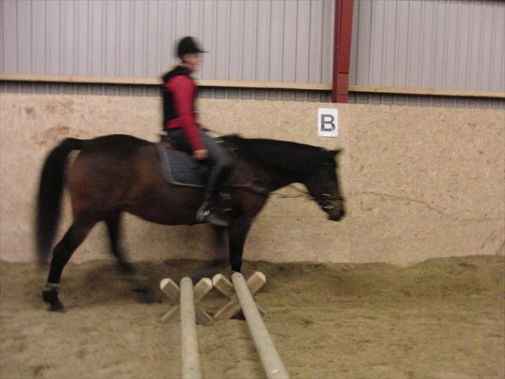 Anden særlig race Balarina Part *SOLGT* - 6# Fordi at vi begyndte at springe <3 Og du var sååå dejlig til det<3 Foto; Josephine den dejlige tøs <3 billede 6