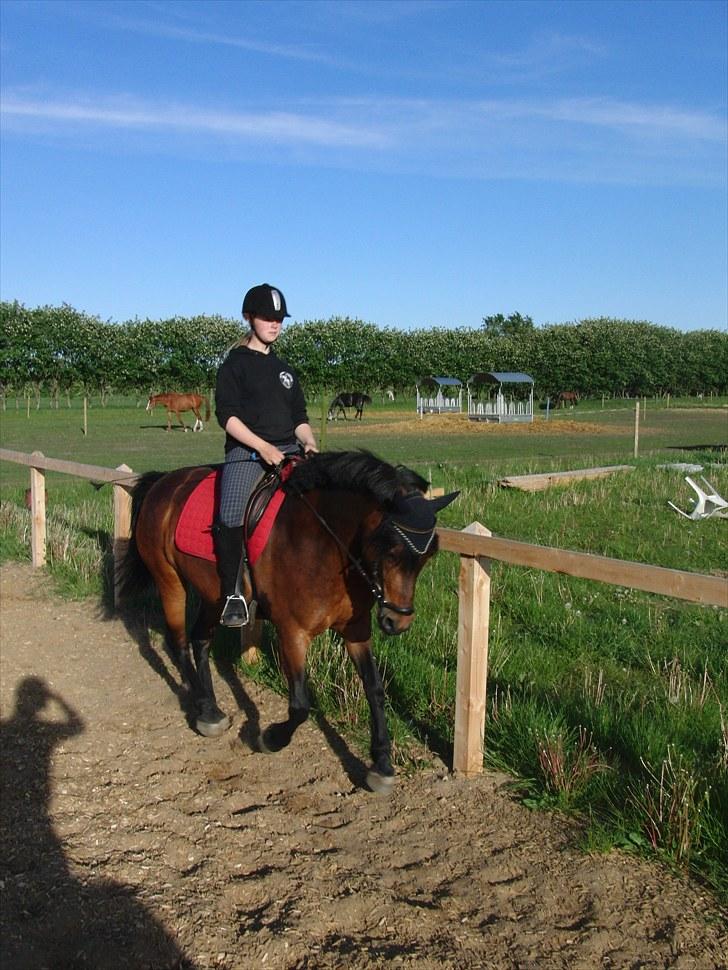 Anden særlig race Balarina Part *SOLGT* - 8# Fordi vi passer sammen .. Begge lige meget æsler ;P :* Det er det jeg elsker ved dig <3 Din omsorg lille skat ... Det er ikke til at tage fejl at du elsker mig <3 :* JEG ELSKER DIG OVER ALT I VERDEN !! <3 Foto; Josephine <3 billede 8