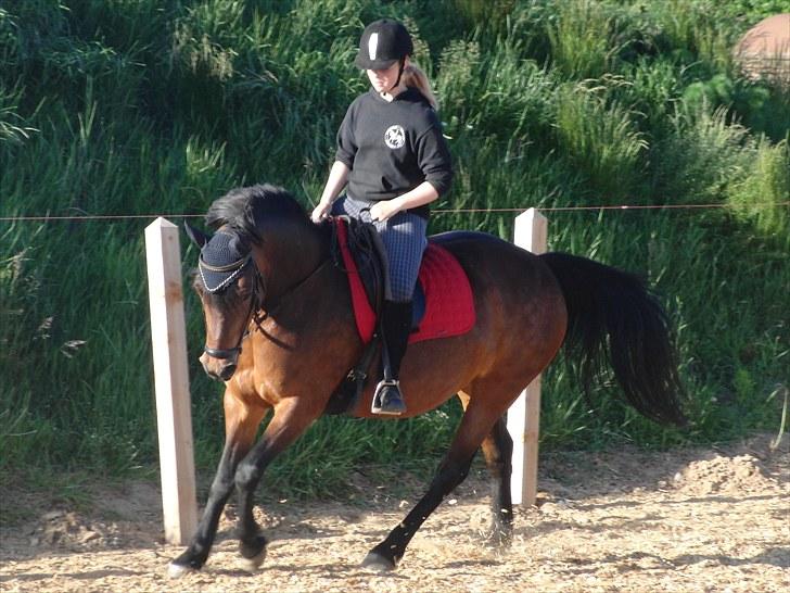 Anden særlig race Balarina Part *SOLGT* - 9# Fordi du kunne noget specielt <3 Både med mig men også ellers <3 Foto: Josephine :´) billede 9