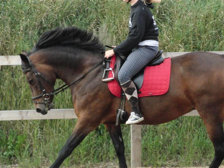Anden særlig race Balarina Part *SOLGT* - 11# Hvor meget må jeg lige elske dig ???? Du er jo over mega meget elsket <3 :* Foto; Anastassia <3 billede 11