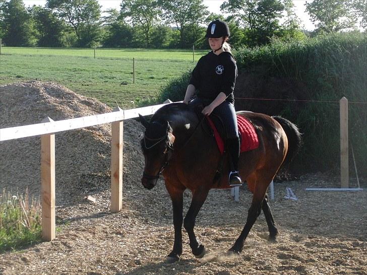 Anden særlig race Balarina Part *SOLGT* - 13# Fordi vi kan det der <3 :* <3 Foto; Josephine (; billede 13