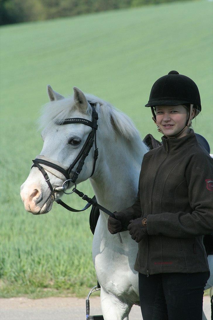 Anden særlig race Julius, **A-PONY** - Julle og Jeg Maj 2011 billede 7