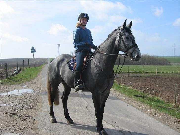 Dansk Varmblod Kærsholms Willow *solgt* - Det er også fra første gang jeg prøvede ham (: Foto: Mor :D billede 4