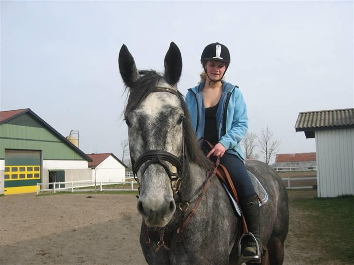 Dansk Varmblod Kærsholms Willow *solgt* - Anden gang jeg var oppe og prøve ham, <3 Foto: Far :D billede 5