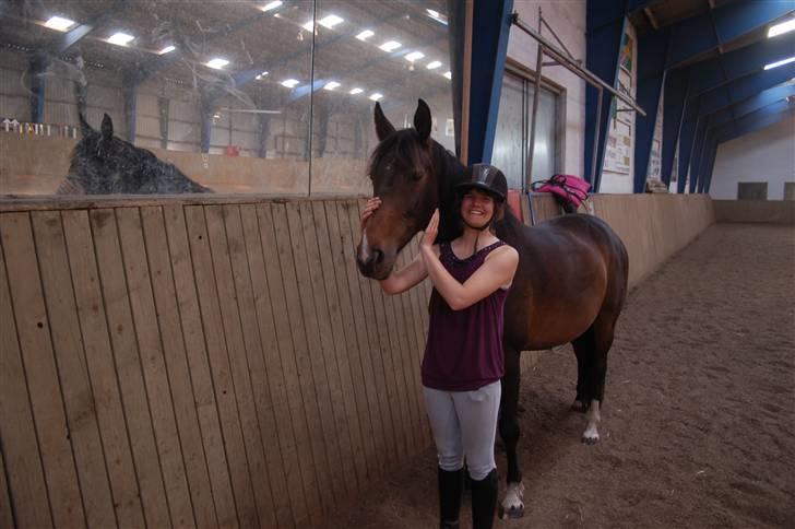 Dansk Varmblod Linette Stridsholt billede 8