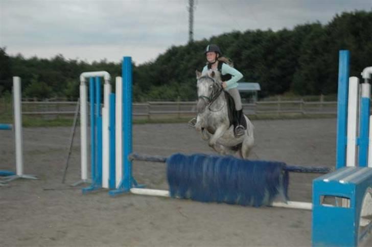 Hollandsk Sportspony .Spotty‹3 'Solgt!' :'( - 8// Springer over fido ;D foto: Lisa med mit gamle kamera. 27 august 2009. Fordi at du stolede på mig?*; billede 8