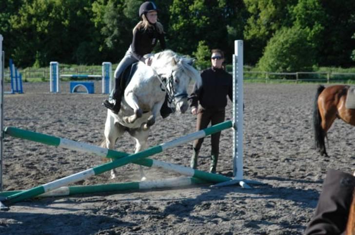 Hollandsk Sportspony .Spotty‹3 'Solgt!' :'( - 9// Miiq og Spotty <3 første spring-time ever *; Foto ; Emma med mit kamera :D Maj 2009 Fordi du ikke kendte mig der i; <3 billede 9