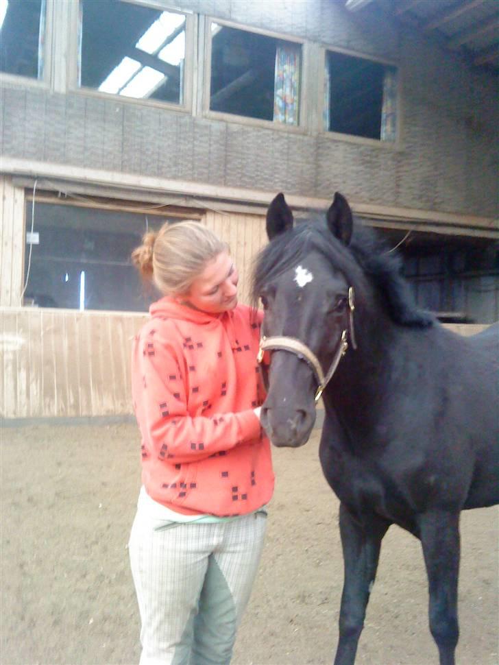 New Forest Tak (Sorte) billede 13