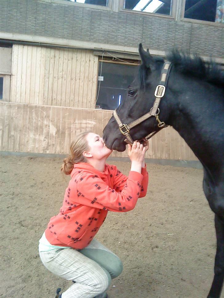 New Forest Tak (Sorte) billede 14