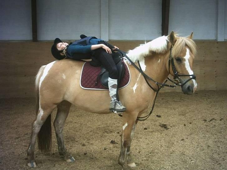 Anden særlig race Sørøver Sally *SOLGT* billede 3