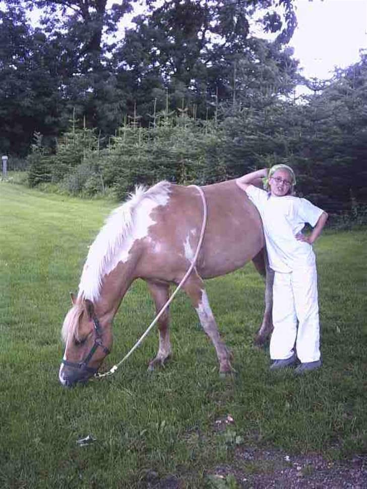 Anden særlig race Sørøver Sally *SOLGT* billede 4