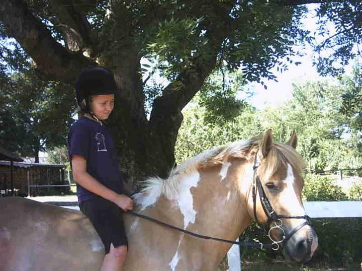 Anden særlig race Sørøver Sally *SOLGT* billede 5