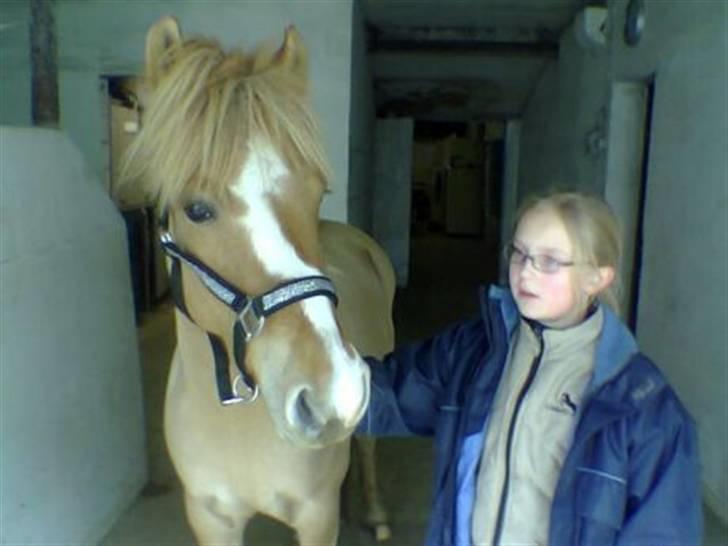 Anden særlig race Sørøver Sally *SOLGT* billede 7