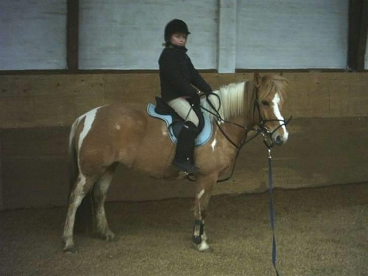 Anden særlig race Sørøver Sally *SOLGT* billede 9