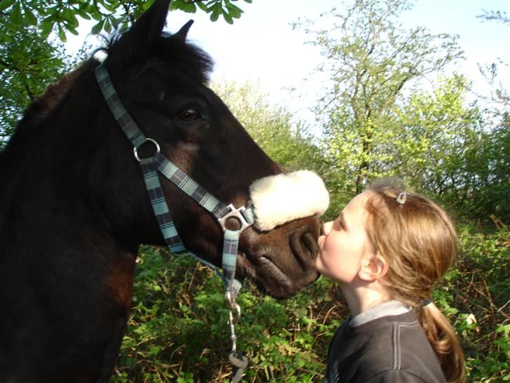 Anden særlig race Avantih <33 - Kys til den smukke :* billede 7