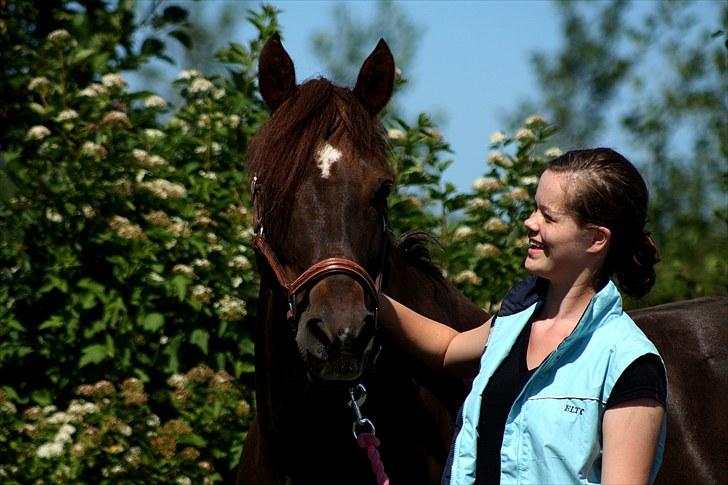 Hollandsk Sportspony Bas  - 7. SHP-foto. Af alle dyr som menneskeheden holder for sin adspredelse, formår hesten alene at ophidse en lidenskab, som er helt uhelbredelig. <3 2010 billede 6