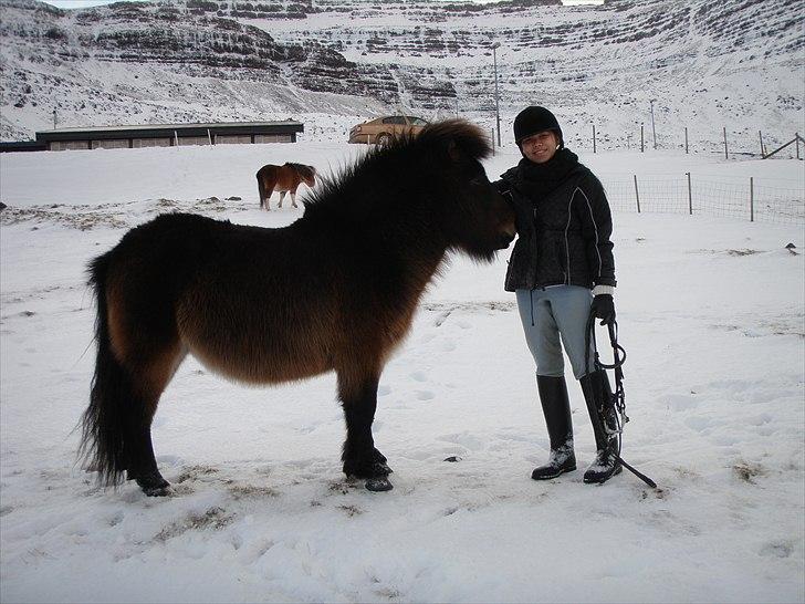 Færøsk hest Líggjas [Haft i pleje] - Líggjas og Pui :) | Januar 2011 billede 18
