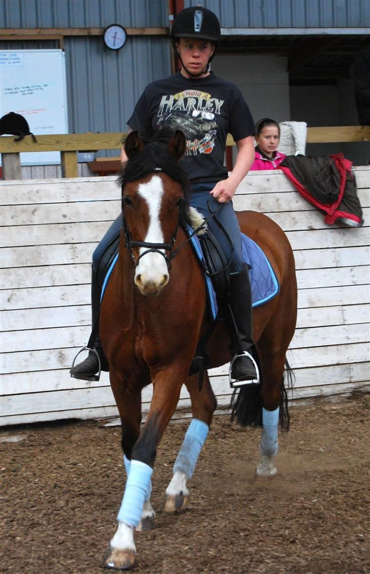 DSP Haahr's Fantasilie solgt billede 1