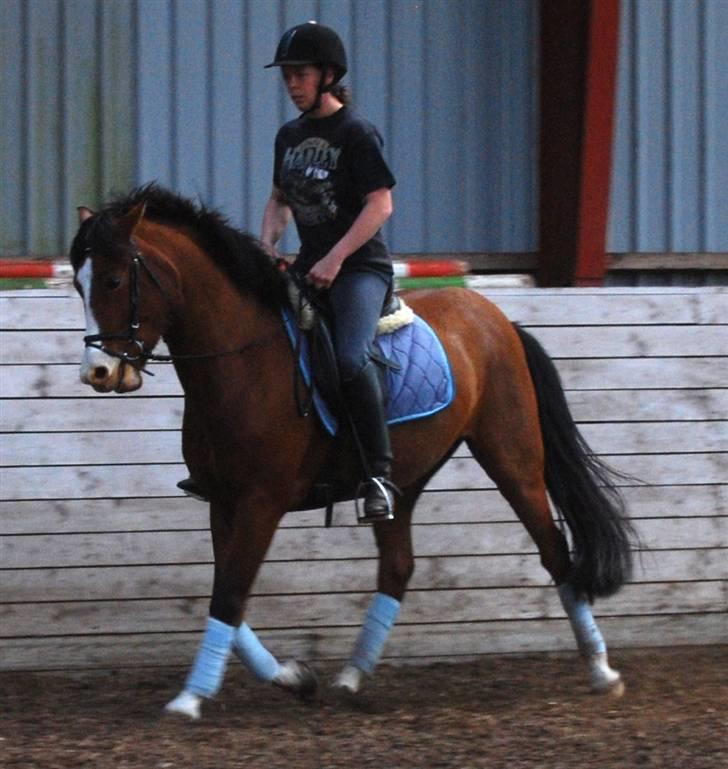 DSP Haahr's Fantasilie solgt billede 9