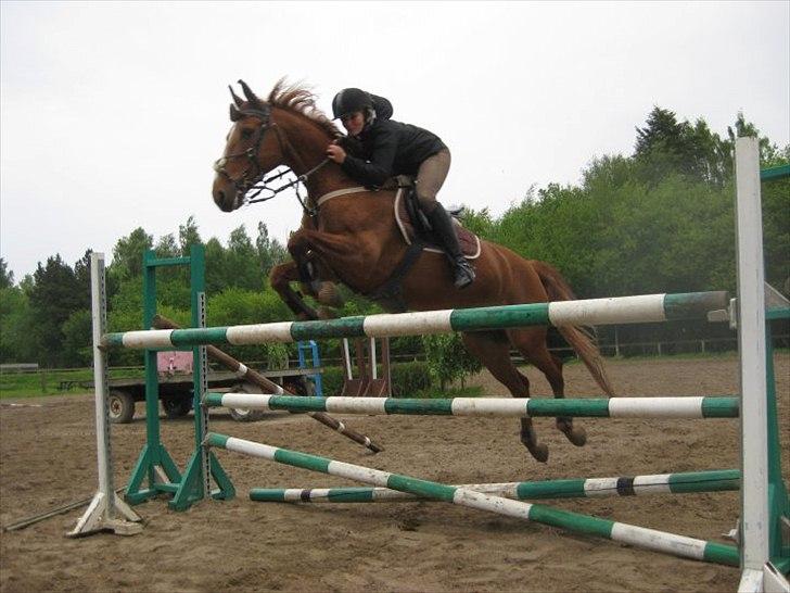 Anden særlig race Magic Lady - Springtræning :-) billede 4