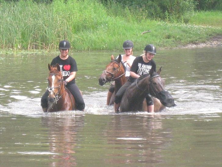 Anden særlig race Magic Lady - Maggie og mig ude og bade med Maxis, Nanna, Julie og Nico :) billede 6