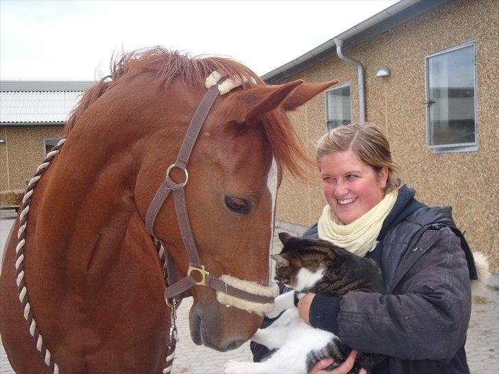 Anden særlig race Magic Lady - Maggie synes Junior er meget spændende :D billede 10