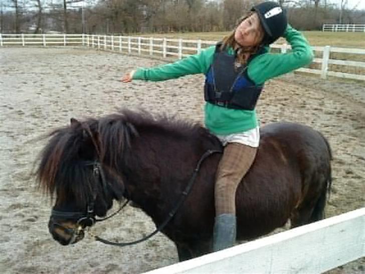 Shetlænder Baron Rip 2010 - Cille og Baron leger modeller billede 6