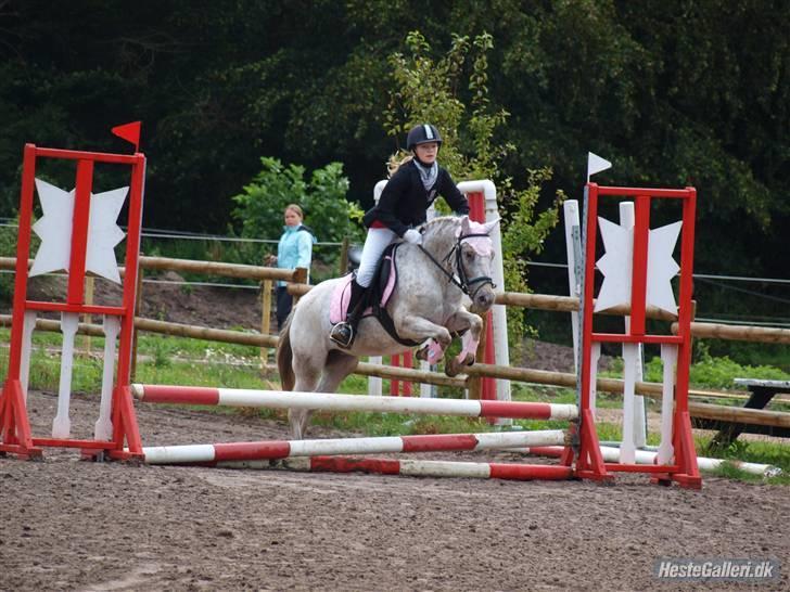 Hollandsk Sportspony .Spotty‹3 'Solgt!' :'( - 14// Mig og Musen til stævne den 5 september, i Ællingespring 50 cm/ULE (: Taget af Iben Skovlund (: Det sidste stævne vi nåede til :i <3 billede 14