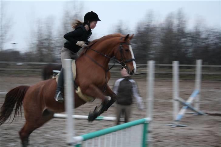 Frederiksborg Stella *RIP* :'( billede 11