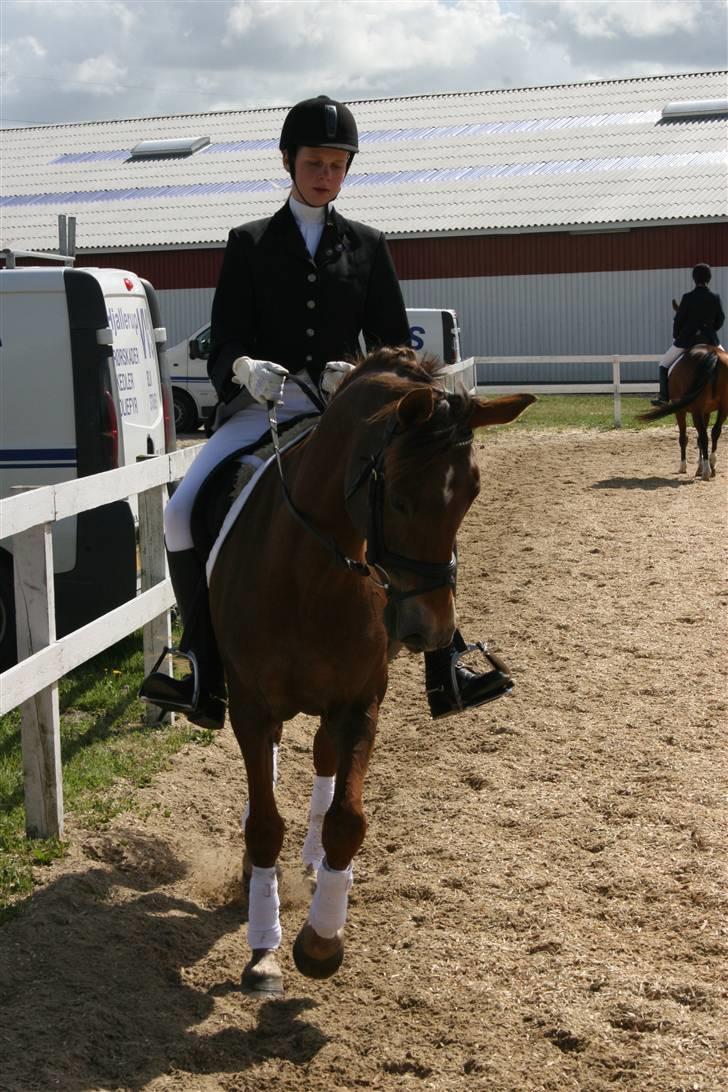 DSP Mia<3 solgt - til stævne i HjallerupO: hun var bare superC: billede 11