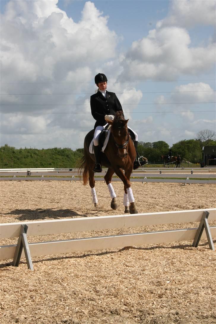 DSP Mia<3 solgt - inde på banen hun var bare så god! <´3 billede 12