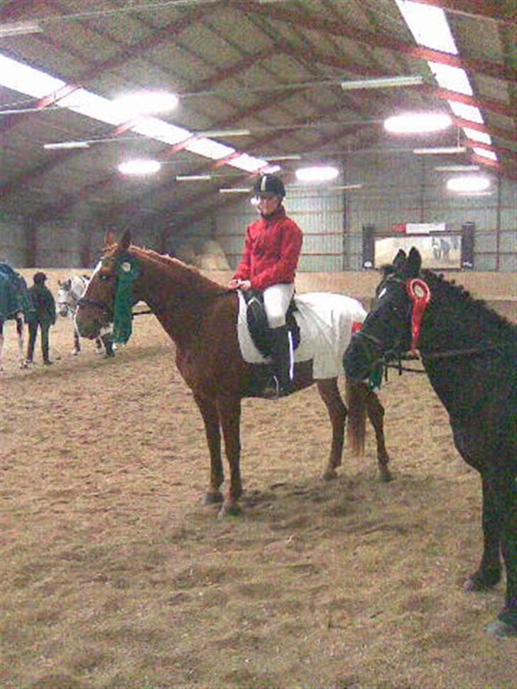 Frederiksborg Atlantis - Fastelavns ridning;) billede 10