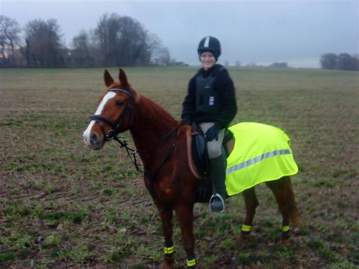 Frederiksborg Atlantis billede 11