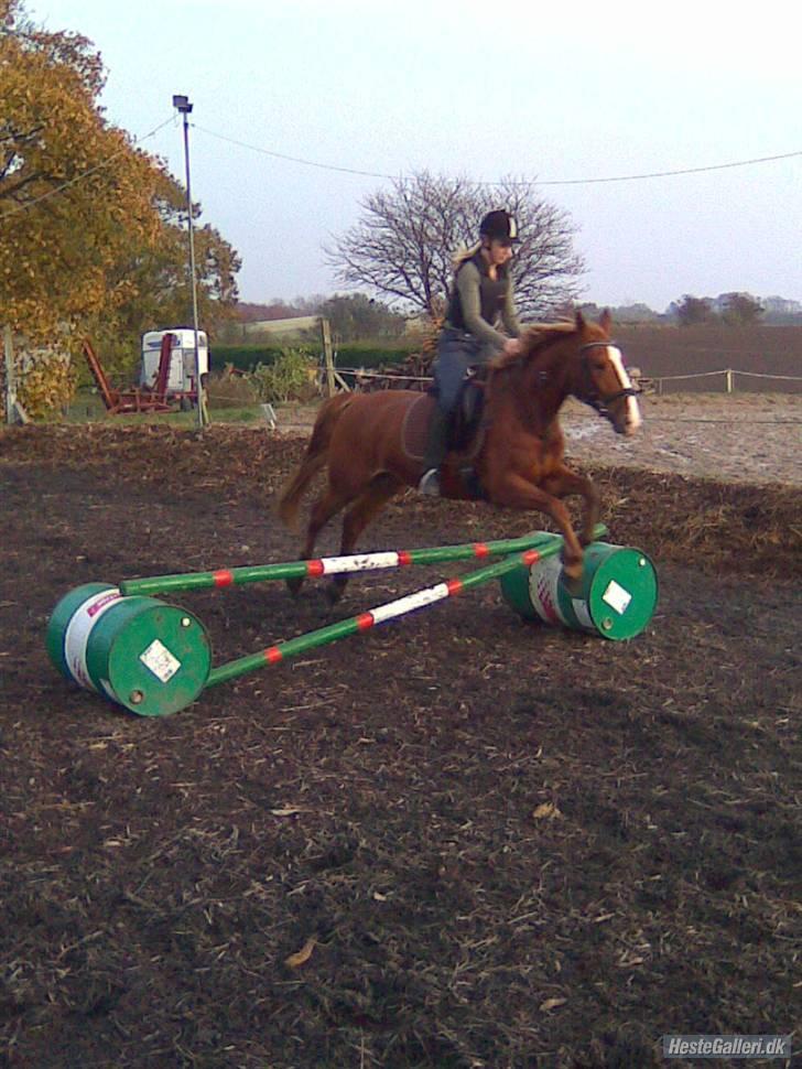 Frederiksborg Atlantis - Hun kan godt løfte føderne;) billede 14