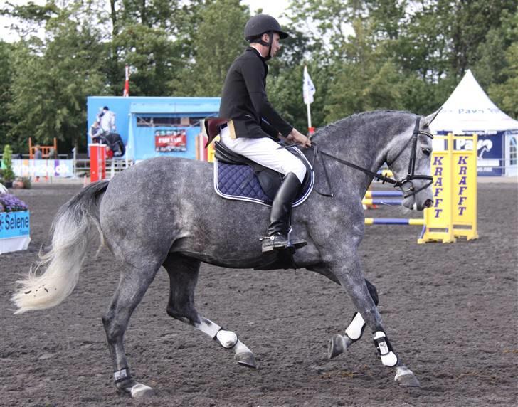 Holstener Coco Chanell S - Championat 2009 billede 14