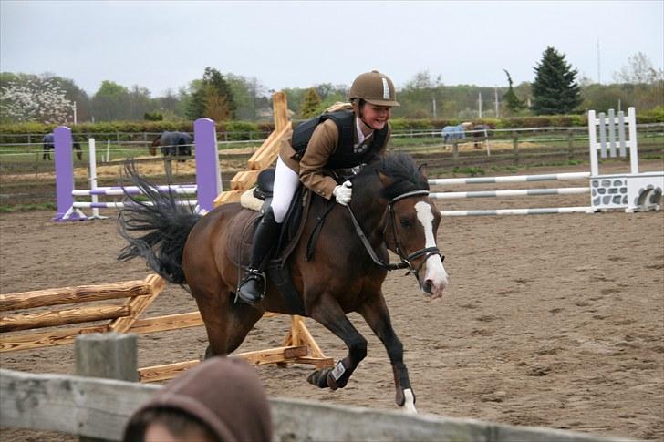 Anden særlig race - Angelina <3 - 1* Velkommen til Lunas profil!<3 :D Er hun ikke dejlig?<3 (: fotograf: Min søster (: billede 1