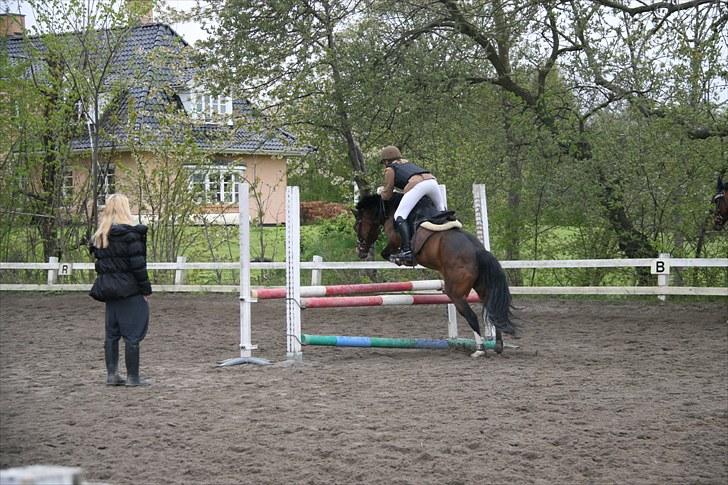 Anden særlig race - Angelina <3 - 7* opvarmning til stævne VEK :) LC billede 7