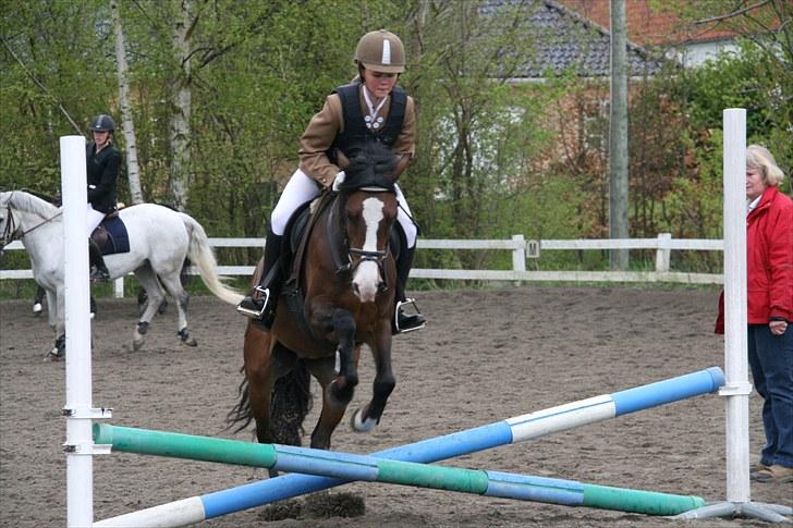Anden særlig race - Angelina <3 - 8* søde pus :D fotograf: min søster (:  opvarmning VEK - LC billede 8
