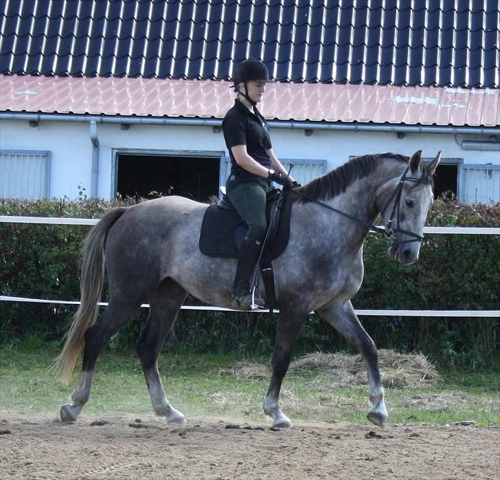 Anden særlig race Zera billede 11