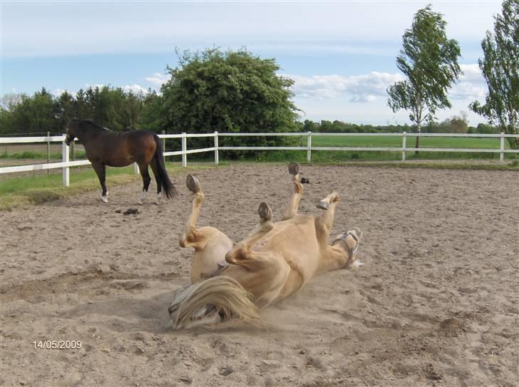 Quarter Zip Skip Sunshine - Dejligt med en rulletur efter en lang køretur billede 5