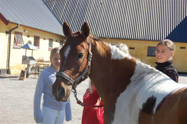 Anden særlig race Kenny<3<3 - Kenny T. stævne! (: Foto: Helene billede 6