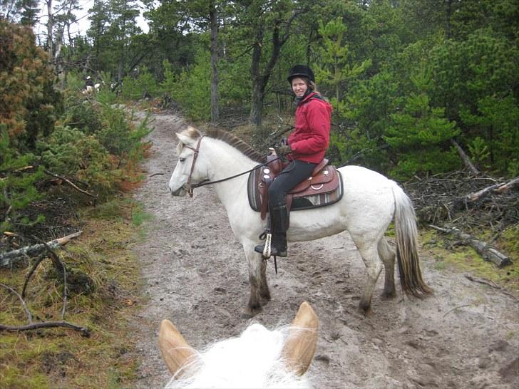 Anden særlig race Kiki Danmarksmester i Trail billede 5