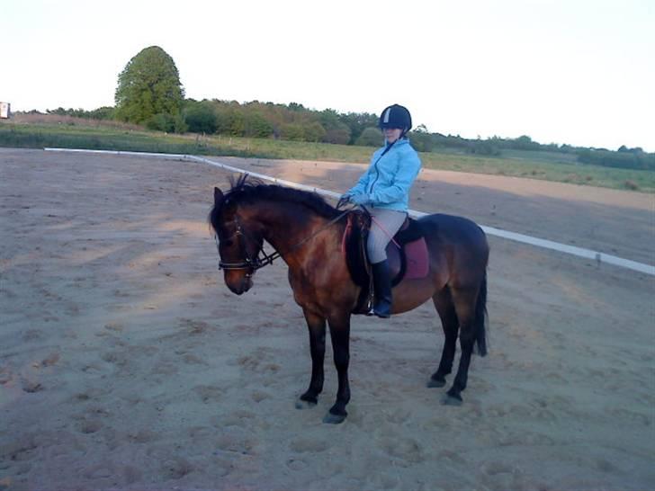 Anden særlig race Jonatan<3 (rideskole.pony) *himmelpony - mig og Jonatan :P billede 9