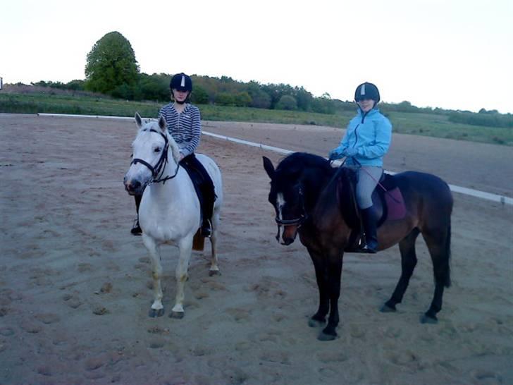 Anden særlig race Jonatan<3 (rideskole.pony) *himmelpony - iza og osanna til venstre, mig og Jonatan til højre ;D billede 10