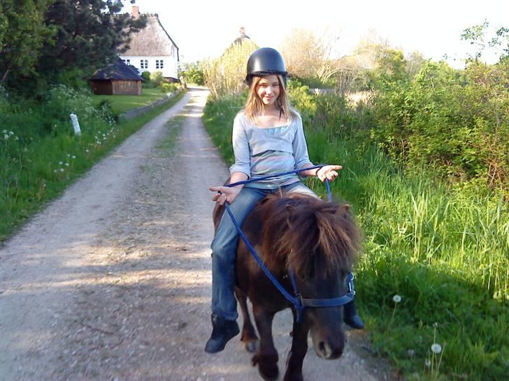 Anden særlig race stella aka madam :D - utrolig børnepons.. bærer dem som var det guld :D billede 9